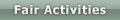 Fair Activities